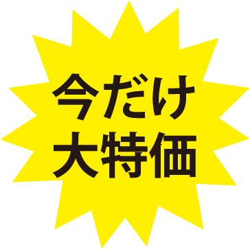 今だけ大特価