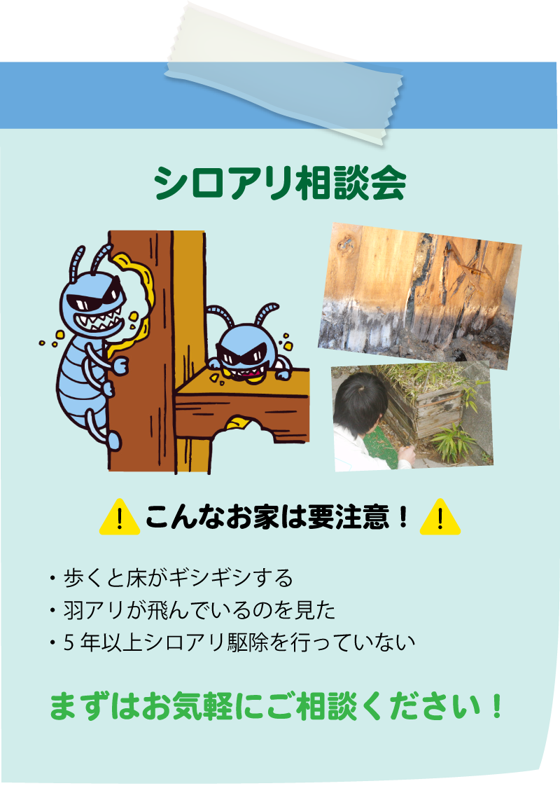 仙台のリフォーム専門店 DAIKUダイク 参加無料 シロアリ相談会