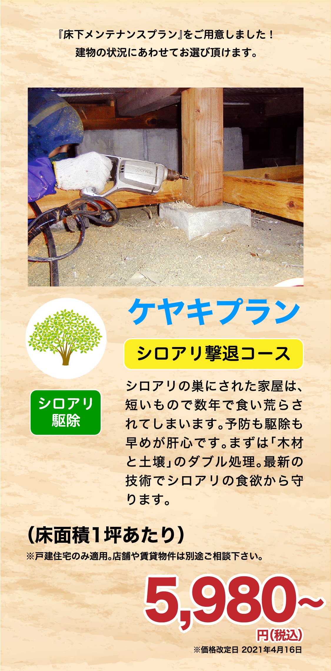 宮城県・山形県のシロアリ駆除 床下消毒 価格 プラン