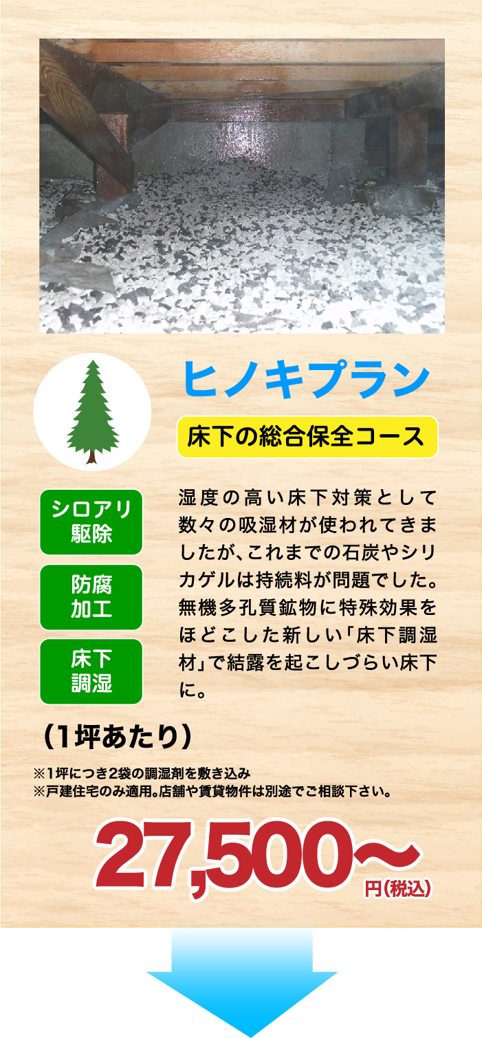 宮城県・山形県のシロアリ駆除 床下消毒 価格 プラン