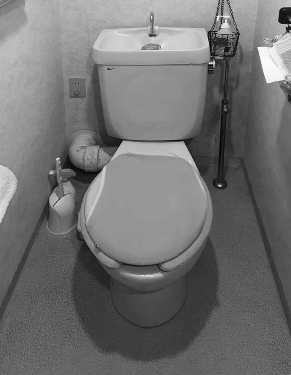 泉区O様邸 トイレリフォーム 約35万円（内装工事費含む） 施工後