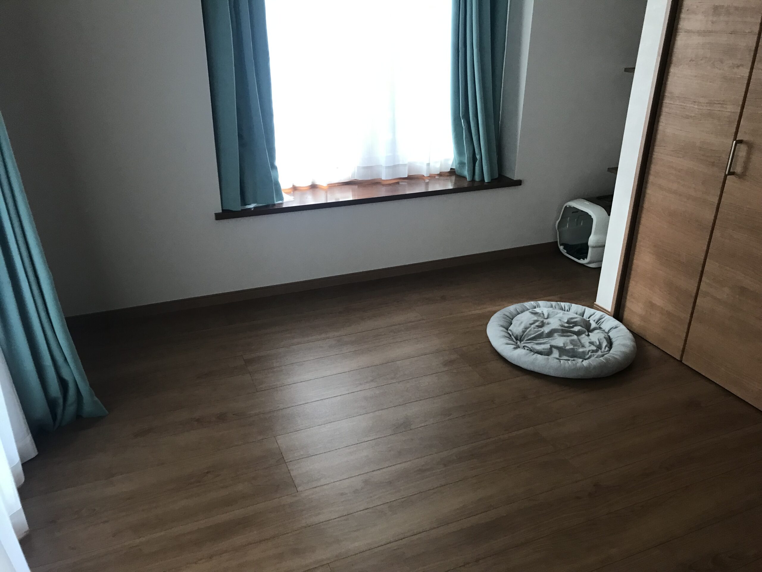 畳からフローリングへ☺️内装工事