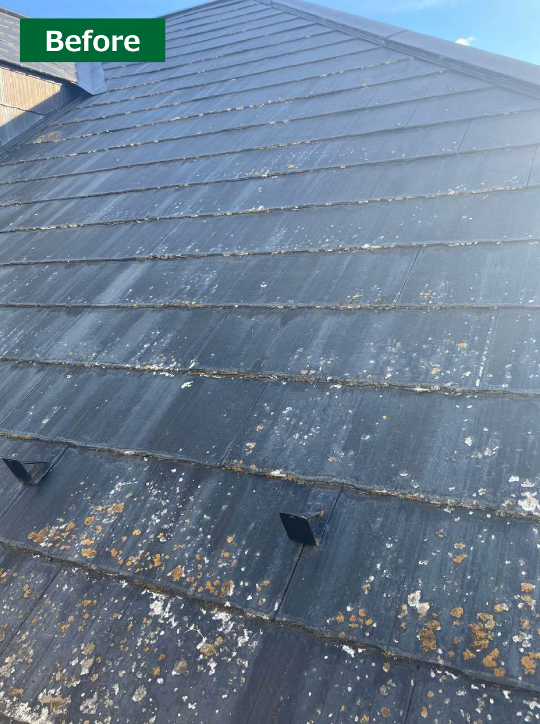 X様邸 外装リフォーム 工期4週間 施工後